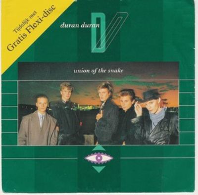 Duran Duran Union Of The Snake album cover