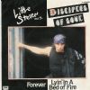 Little Steven & The Disciples Of Soul Forever album cover