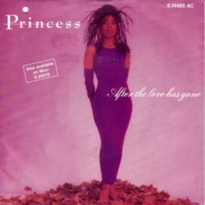 Princess After The Love Has Gone album cover