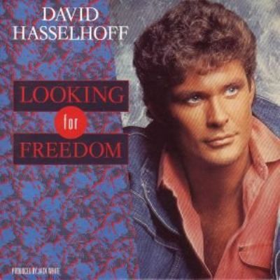 David Hasselhoff Looking For Freedom album cover