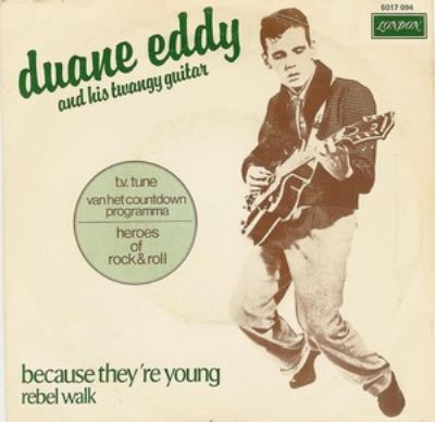 Duane Eddy Because They're Young album cover