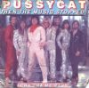 Pussycat Then The Music Stopped album cover