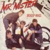 Mr Mister - Broken Wings