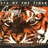 Survivor Eye Of The Tiger album cover