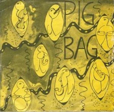 Pigbag Papa's Got A Brand New Pigbag album cover