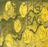 Pigbag Papa's Got A Brand New Pigbag album cover