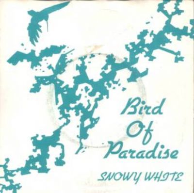 Snowy White Bird Of Paradise album cover