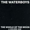 Waterboys The Whole Of The Moon album cover