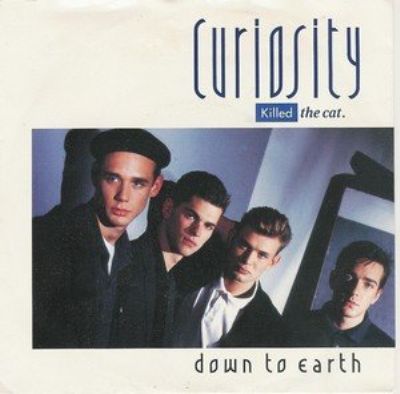 Curiosity Killed The Cat Down To Earth album cover